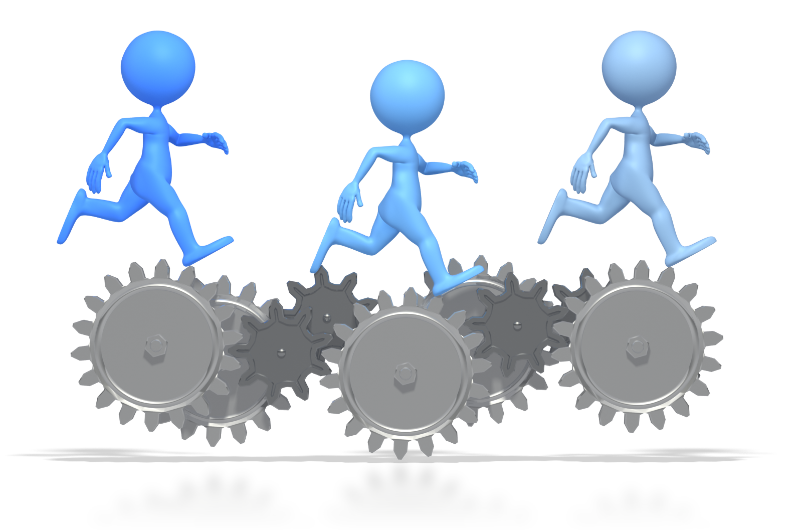 What kind of leader do we need?